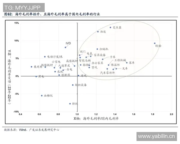 南京飞盘队的成功运营模式与发展策略深度解析 南京飞盘队的成功运营模式与发展策略深度解析