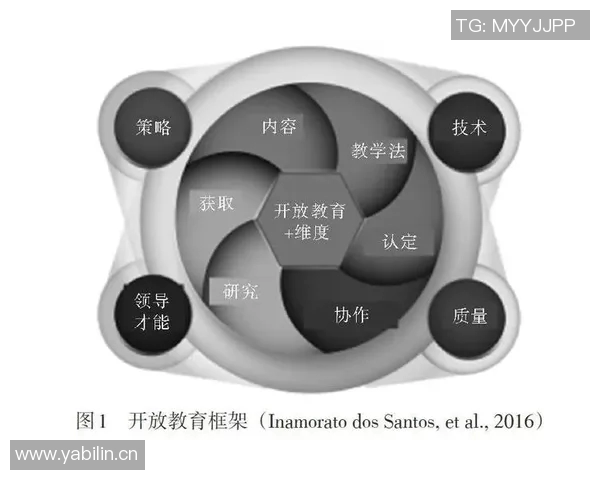 上海网球队的蜕变与崛起：从传统到现代的转型之旅